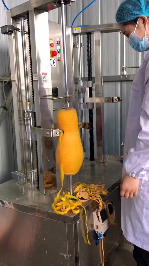 工厂化生产南瓜粥,从削皮开始到装瓶为止,都是机器化